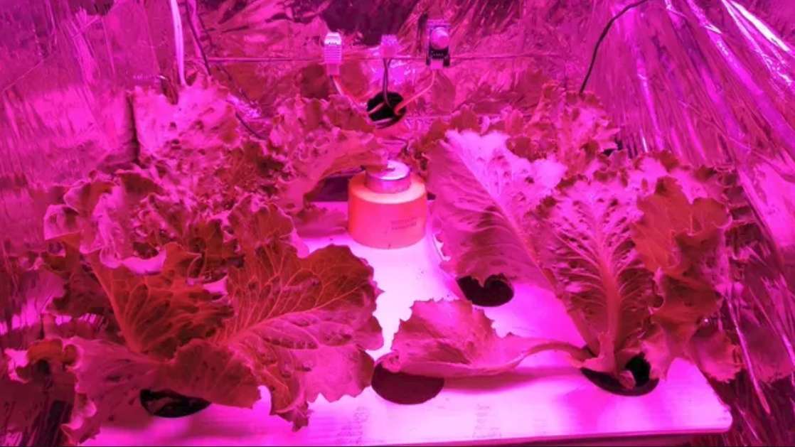 Autogrow, Alat Pengatur Iklim untuk Bantu Petani