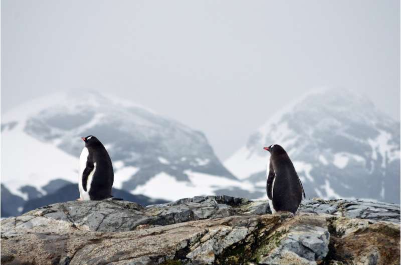 Preserved penguin poop reveals past Antarctic Ocean circulation changes