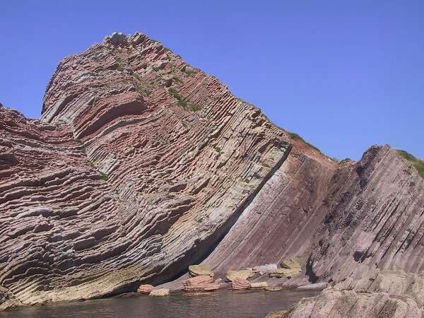Extreme volcanism did not cause the massive extinction of species in the late Cretaceous