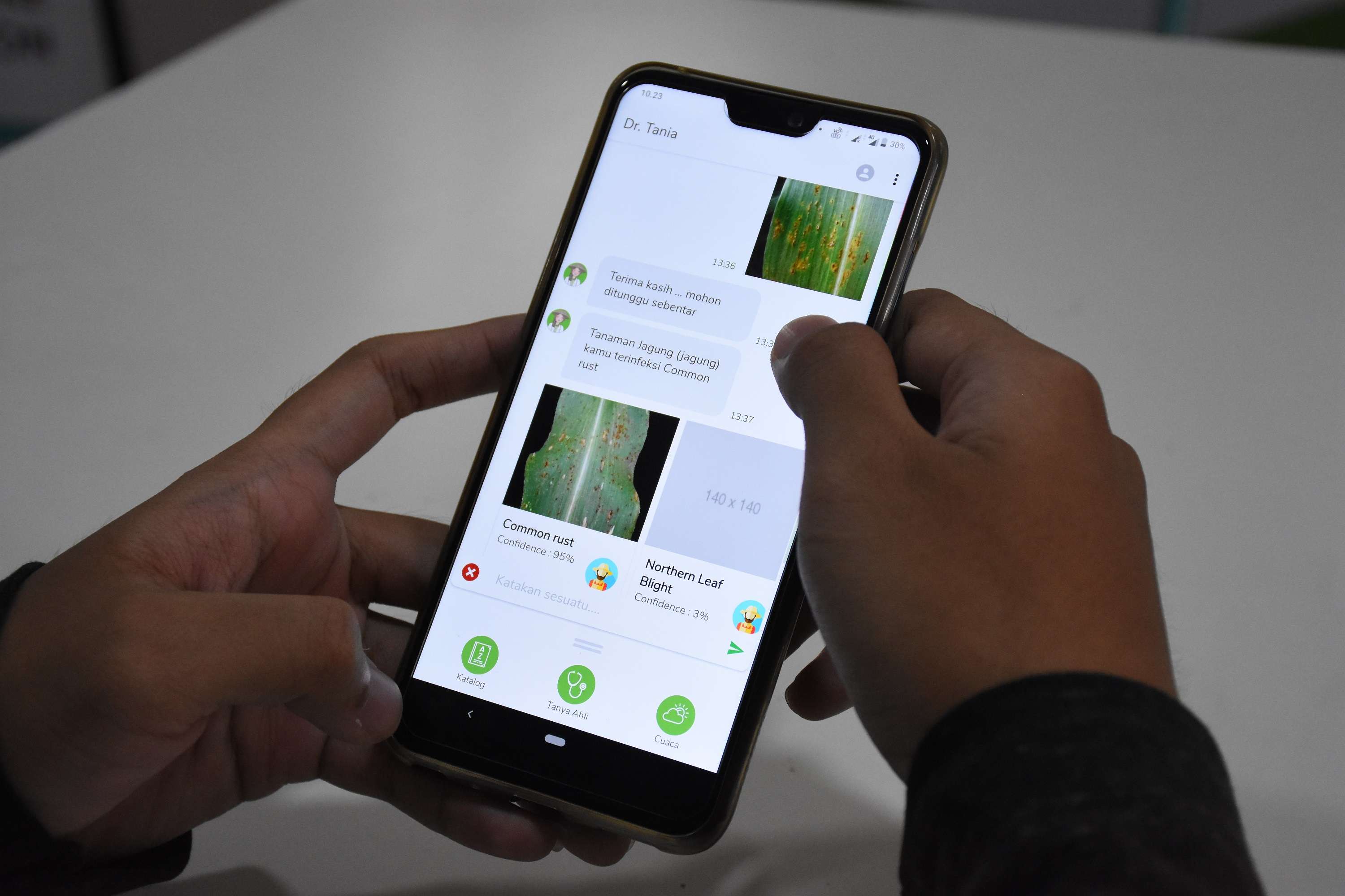 Dr. Tania, Pengidentifikasi Penyakit Tanaman
