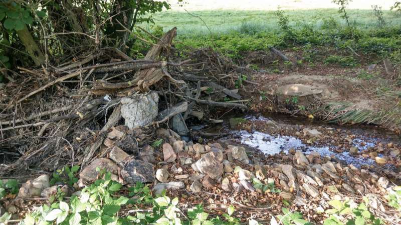After the flood disaster in Western Germany: Science searches for answers