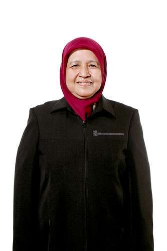 Amy Hamidah